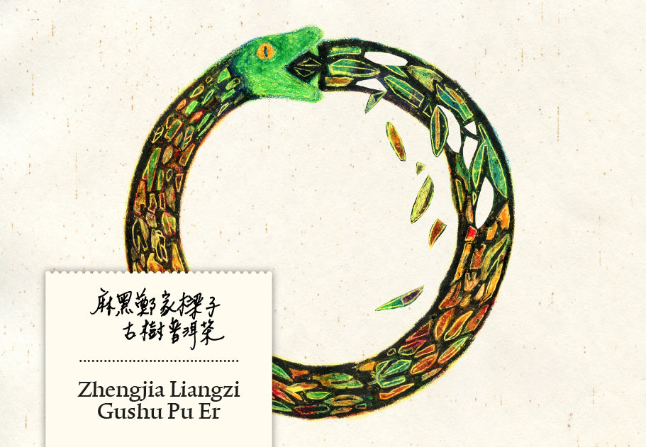 ZhengjiaLiangzi Mahei Gushu Pu Er 100g | Schlangenjahr Edition