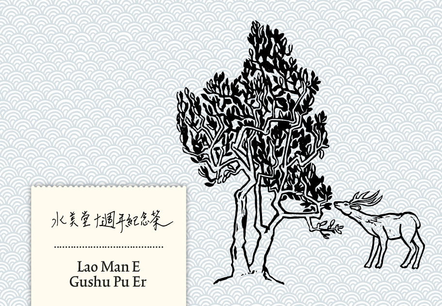 Jubiläumstee – Lao Man E Gushu Pu Er 2019