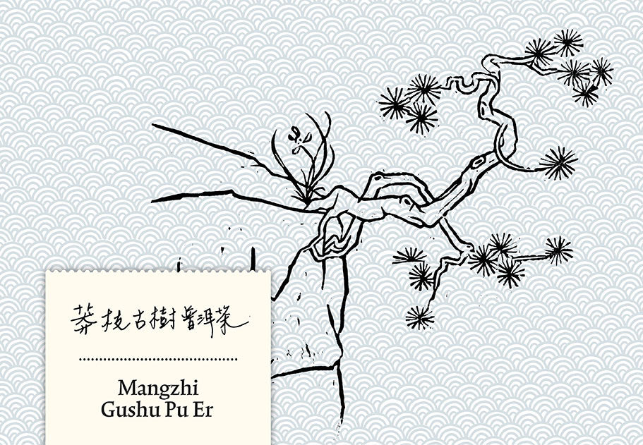 Mangzhi Gushu Puer 2021