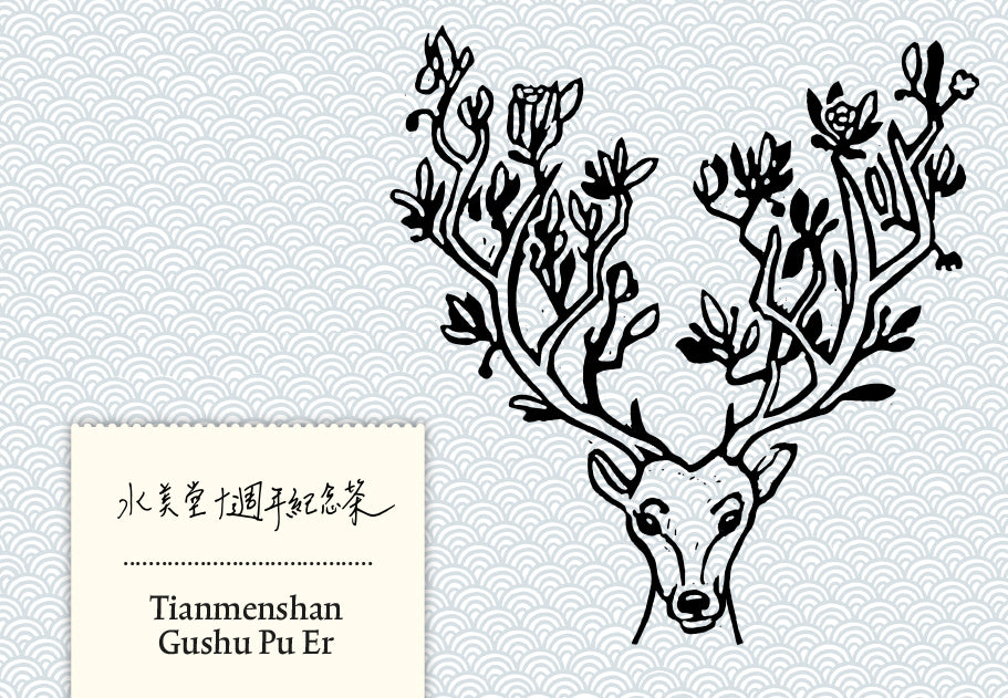 Jubiläumstee – Tianmenshan Gushu Pu Er 2019