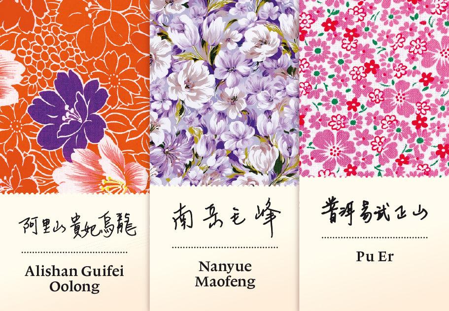 Winterselektion 2025 | Winter Selection 2025